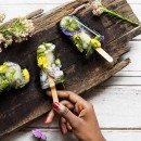 Erbe und Lebensraum. Der Geist des Willunga Basi